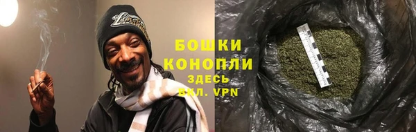 прущие грибы Козловка