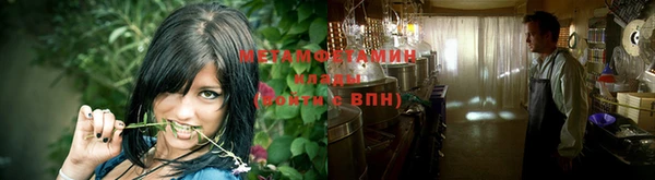 прущие грибы Козловка