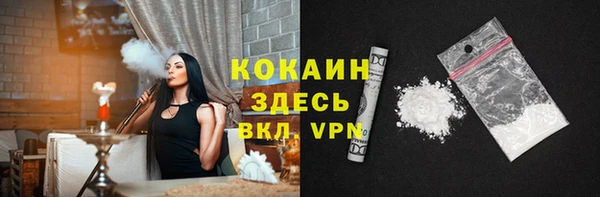дживик Козельск