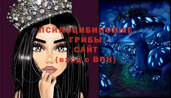 а пвп мука Кодинск
