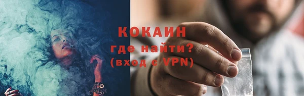 дживик Козельск