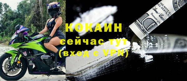 дживик Козельск