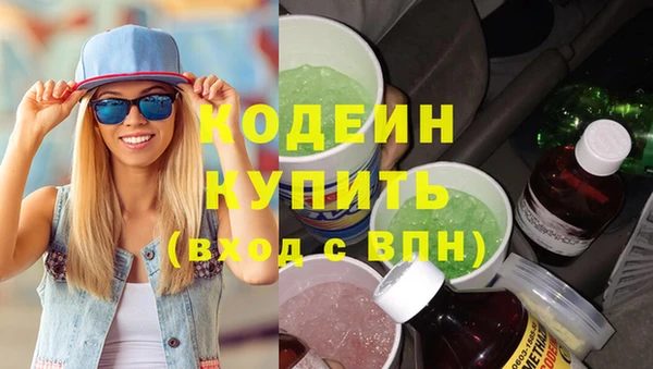 прущие грибы Козловка